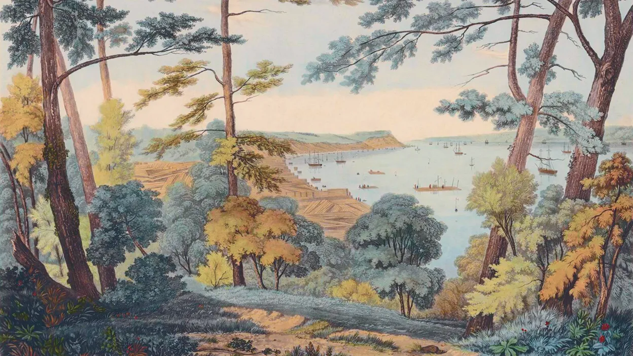 Collections d'images